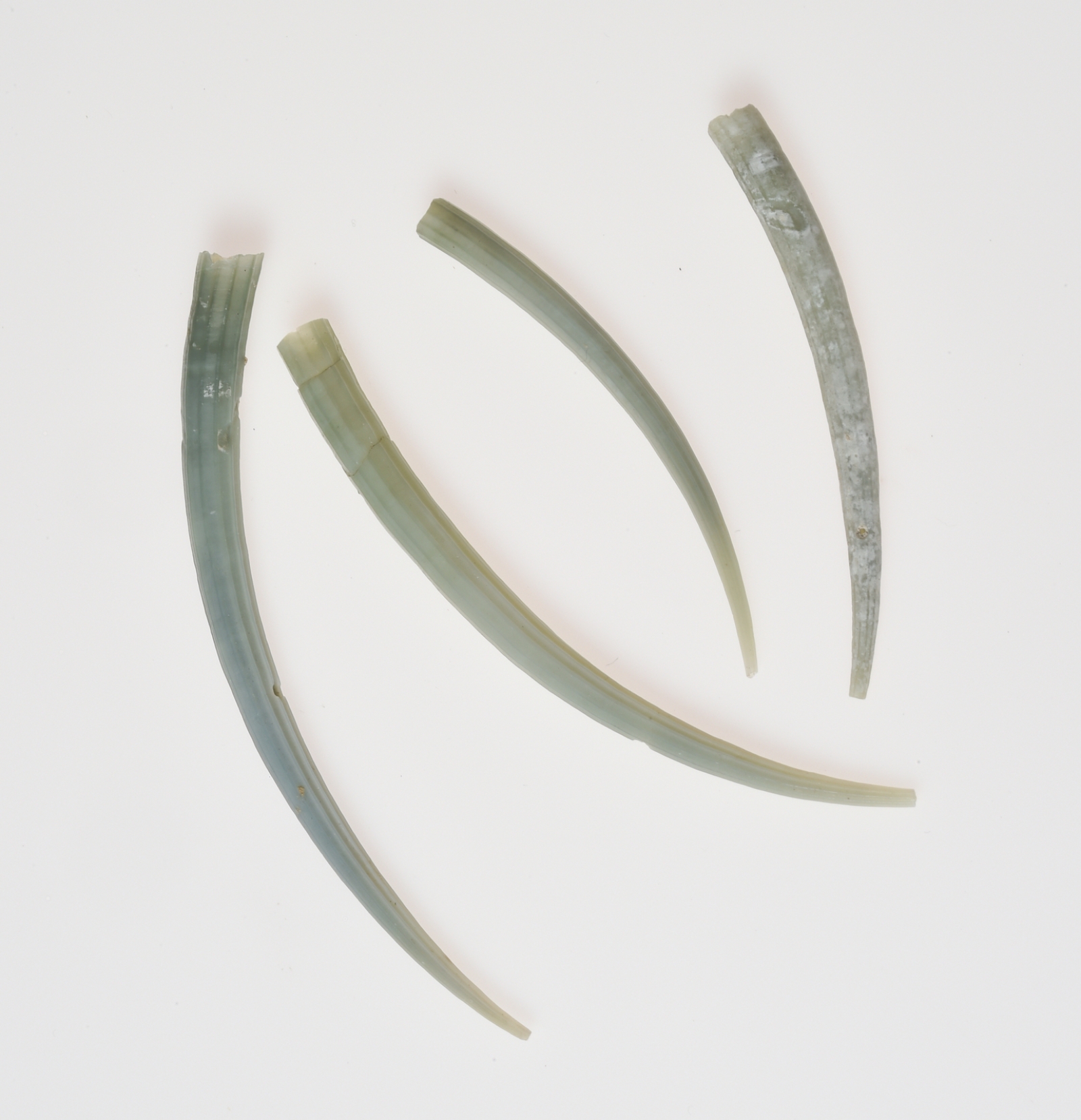 Dentale - 3