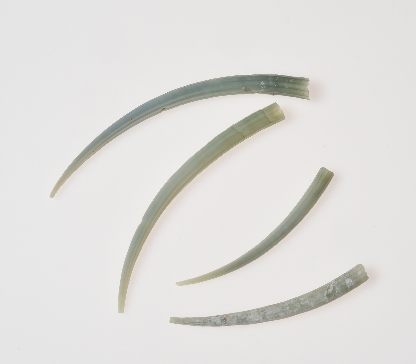 Dentale - 3