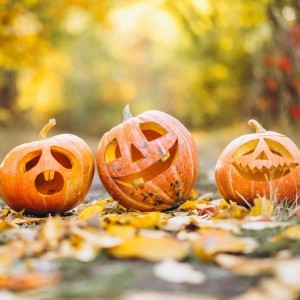 Halloween 2026 - Cité de l’économie