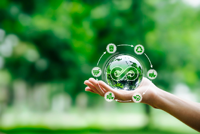 Une main tenant une planète symbolise l’impact de l’économie durable et du commerce renouvelable, soulignant ses bienfaits pour l’environnement et la société.
