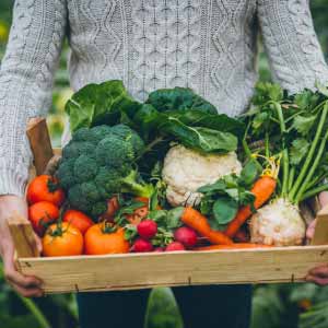 Illustration Le Défi de l’alimentation
