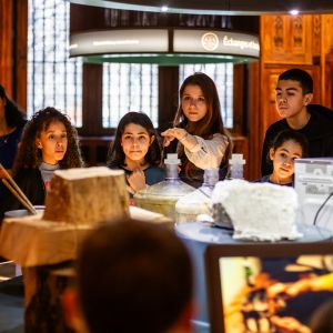 Mes premiers pas en économie - Cité de l’économie