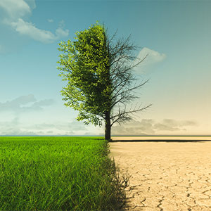 conf-face-au-changement-climatique.jpg