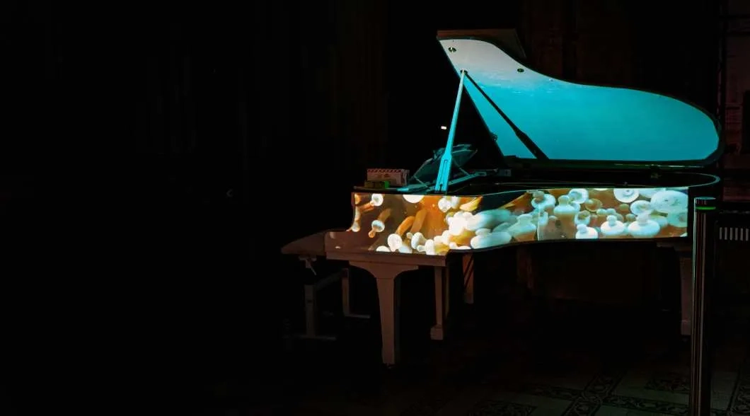 Performance musicale : « Des jardins et des hommes : éloge de la forêt »