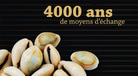 Book J. Schoonheyt Book J. Schoonheyt